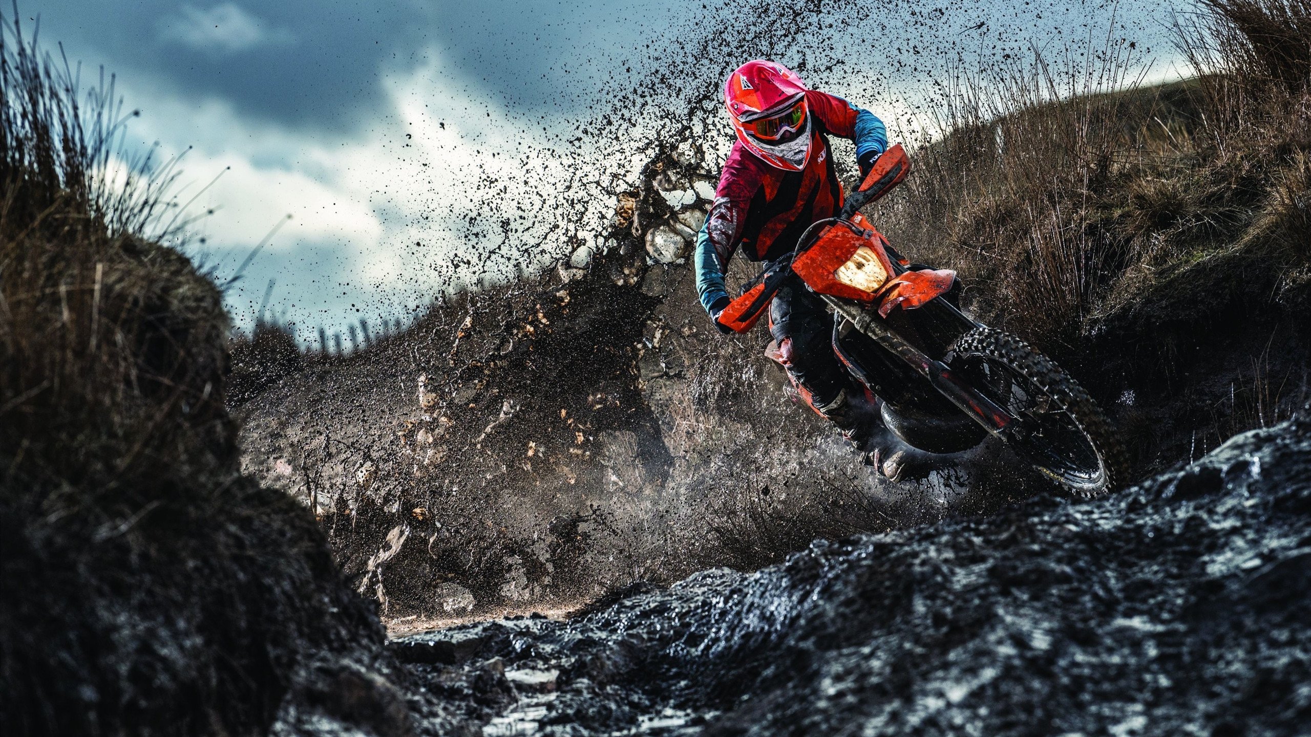 张镇麟全运会表现令人惊艳,成为焦点,张镇麟全运会集锦