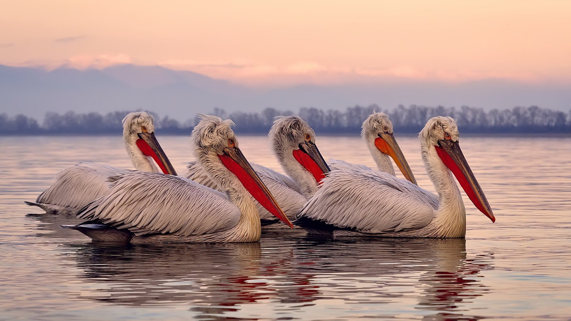 校园足球训练计划缺乏生长曲线追踪，校园足球立足于通过训练培养学生