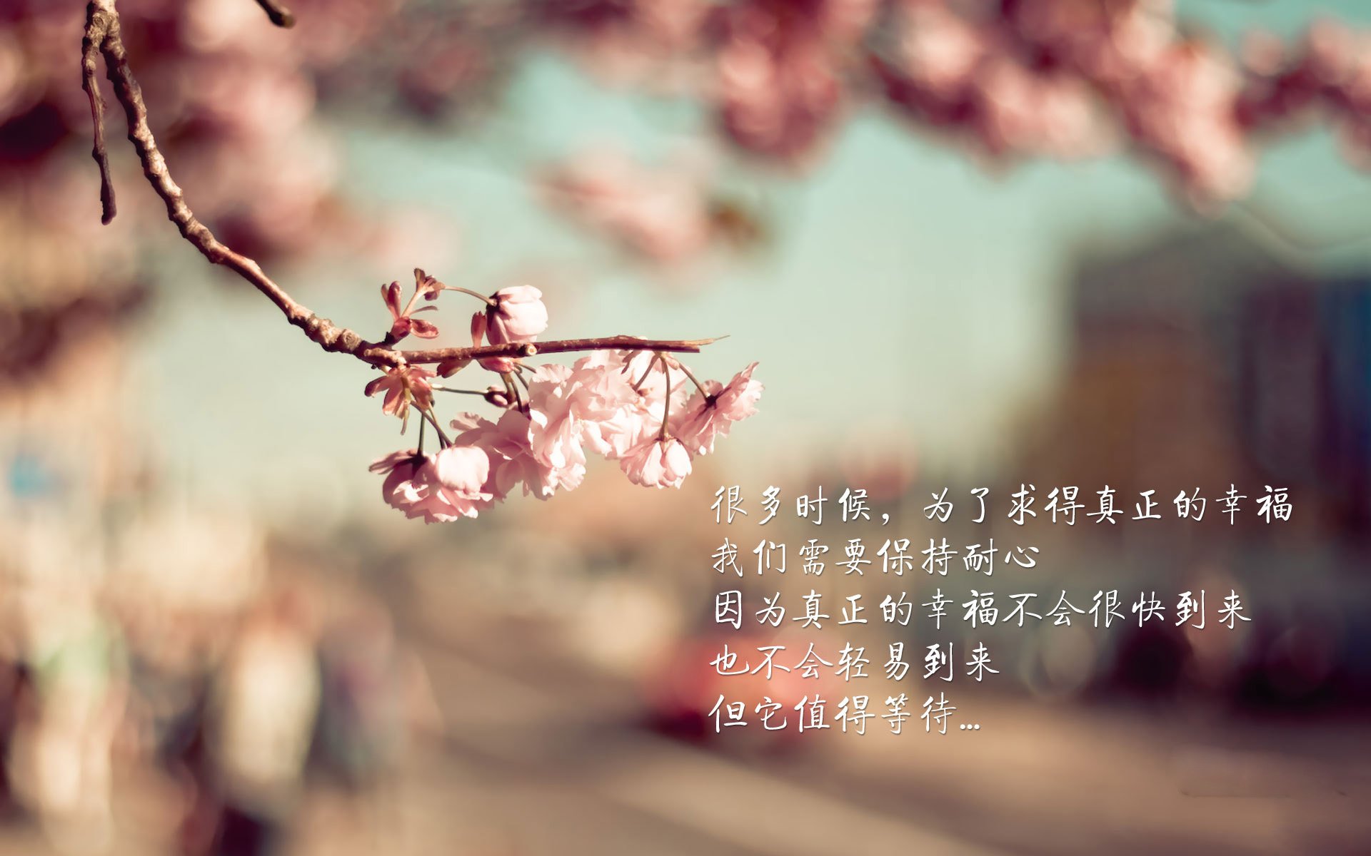 球员心理健康问题亟需关注，篮球运动员心理训练