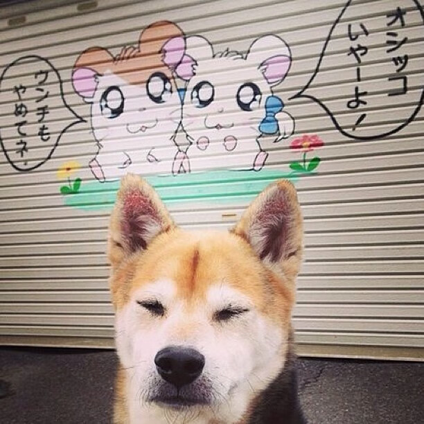 激烈大战 奥预赛上国家队成功迎战,奥林匹克大战