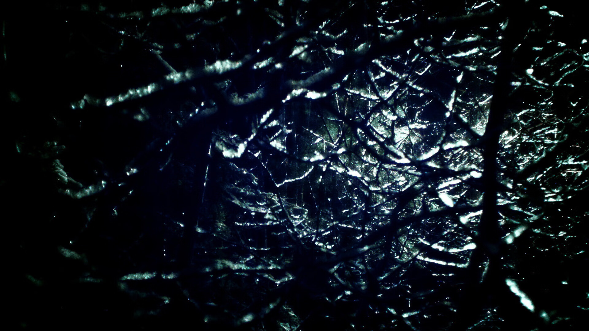 自由泳长距离稳定发挥再添奖牌,自由泳长距离游技术