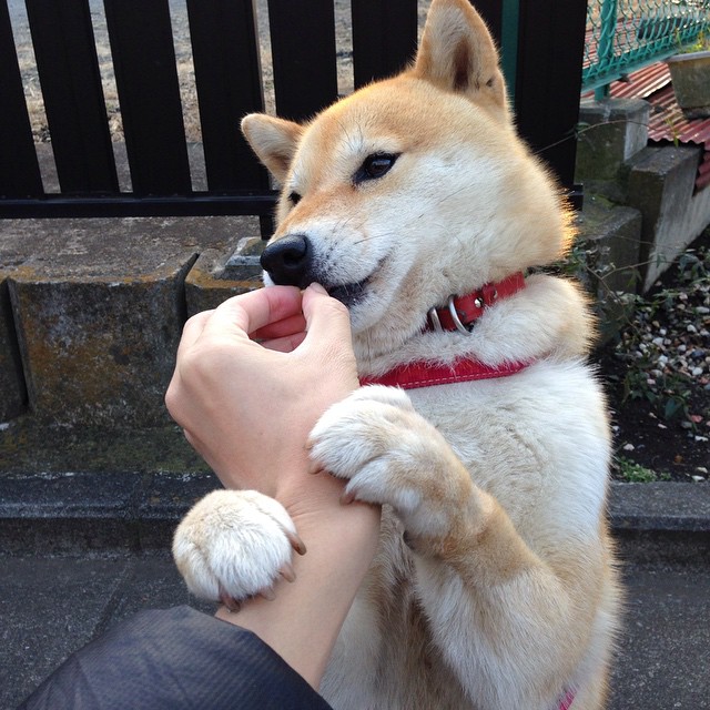 世界杯黄金时段：技巧与心态的巅峰较量！，世界杯时刻