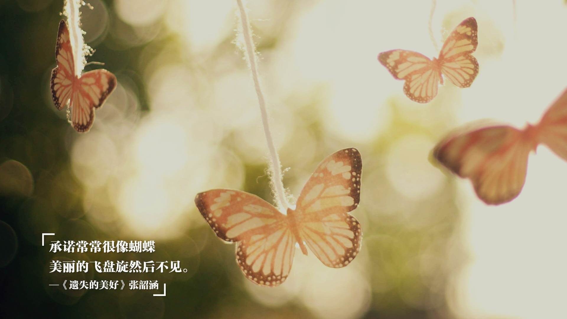 中国足球职业俱乐部加快青训人才签约机制，2020足球青训梯队招募