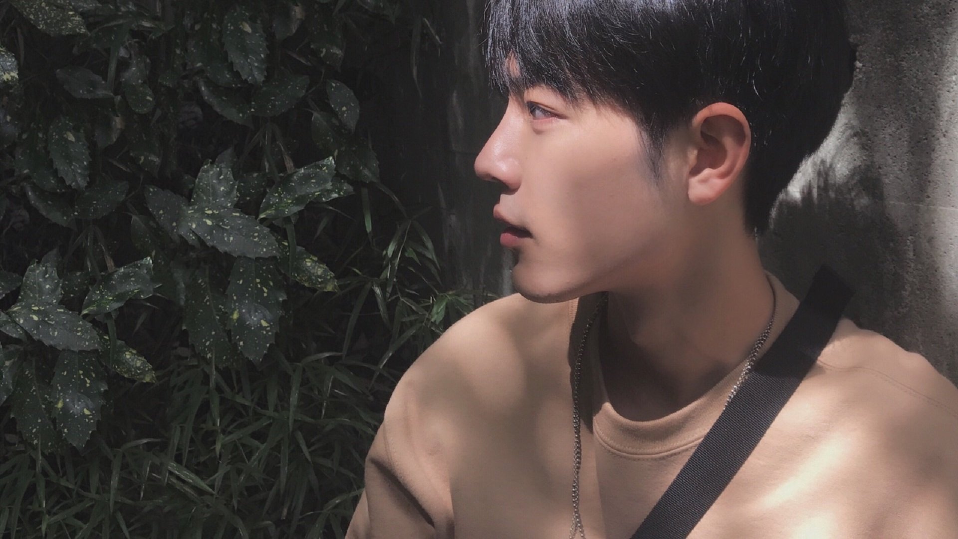 国际田径比赛裁判员资格审核标准提升，国际田径裁判证怎么考