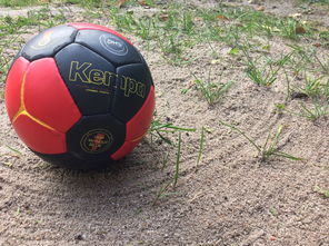 开云在线直播-安提瓜和巴布达在中美洲锦标赛中夺冠，体育实力不断崛起